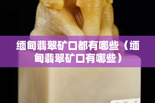 缅甸翡翠矿口都有哪些（缅甸翡翠矿口有哪些）
