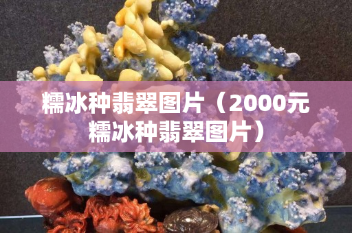 糯冰种翡翠图片（2000元糯冰种翡翠图片）