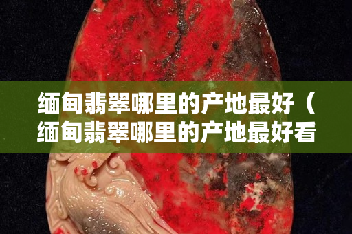 缅甸翡翠哪里的产地最好（缅甸翡翠哪里的产地最好看）