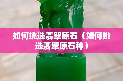 如何挑选翡翠原石（如何挑选翡翠原石种）