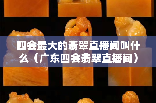 四会最大的翡翠直播间叫什么（广东四会翡翠直播间）