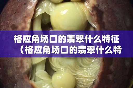 格应角场口的翡翠什么特征（格应角场口的翡翠什么特征）