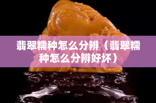 翡翠糯种怎么分辨（翡翠糯种怎么分辨好坏）