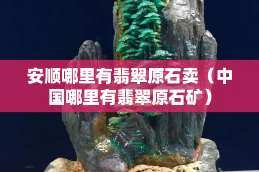安顺哪里有翡翠原石卖（中国哪里有翡翠原石矿）