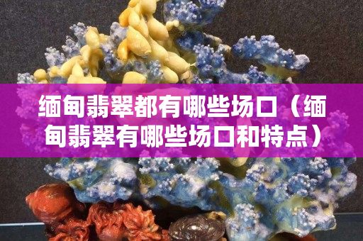 缅甸翡翠都有哪些场口（缅甸翡翠有哪些场口和特点）