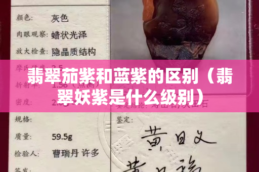 翡翠茄紫和蓝紫的区别（翡翠妖紫是什么级别）