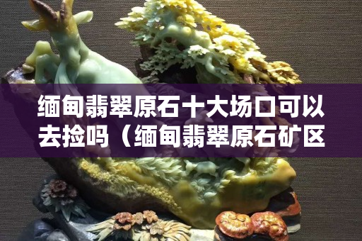 缅甸翡翠原石十大场口可以去捡吗（缅甸翡翠原石矿区的十大名坑）