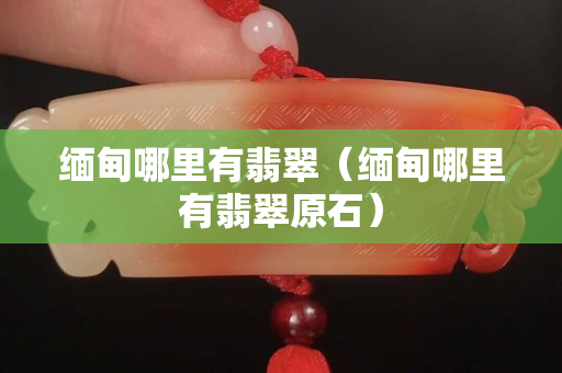 缅甸哪里有翡翠（缅甸哪里有翡翠原石）