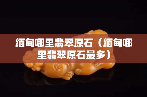 缅甸哪里翡翠原石（缅甸哪里翡翠原石最多）
