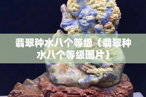 翡翠种水八个等级（翡翠种水八个等级图片）