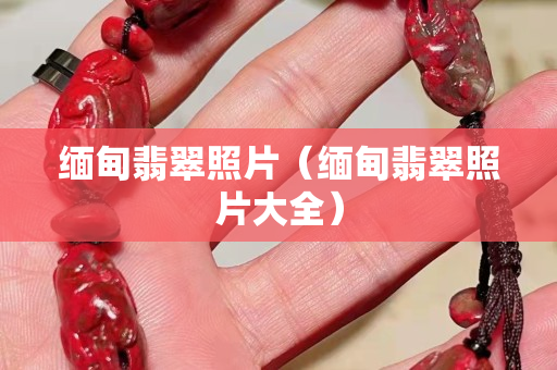 缅甸翡翠照片（缅甸翡翠照片大全）