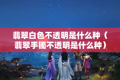 翡翠白色不透明是什么种（翡翠手镯不透明是什么种）