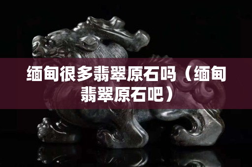 缅甸很多翡翠原石吗（缅甸翡翠原石吧）