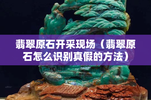 翡翠原石开采现场（翡翠原石怎么识别真假的方法）