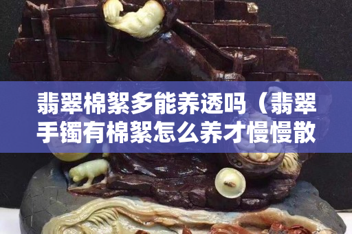 翡翠棉絮多能养透吗（翡翠手镯有棉絮怎么养才慢慢散）