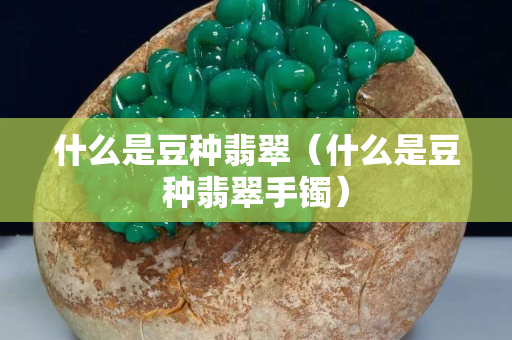 什么是豆种翡翠（什么是豆种翡翠手镯）