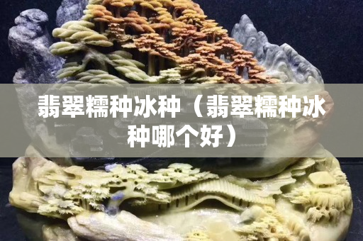 翡翠糯种冰种（翡翠糯种冰种哪个好）