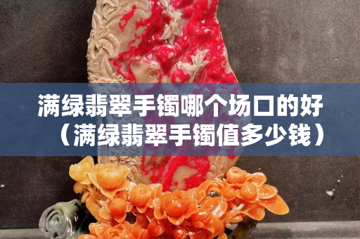 满绿翡翠手镯哪个场口的好（满绿翡翠手镯值多少钱）