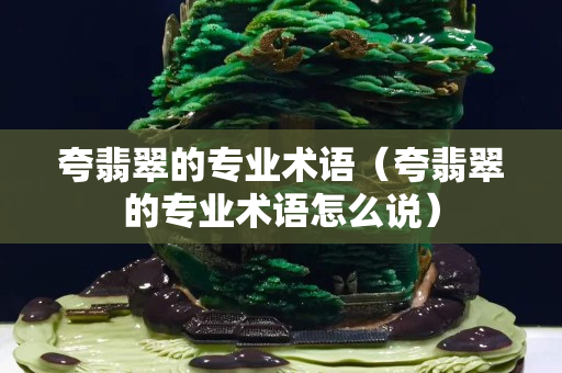 夸翡翠的专业术语（夸翡翠的专业术语怎么说）