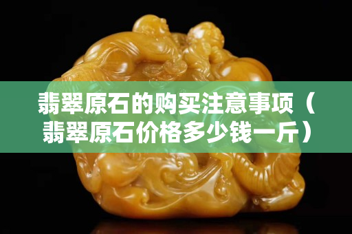 翡翠原石的购买注意事项（翡翠原石价格多少钱一斤）