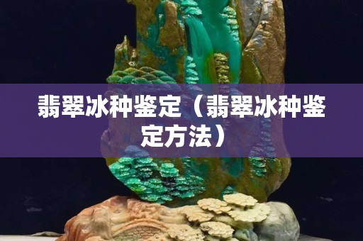 翡翠冰种鉴定（翡翠冰种鉴定方法）