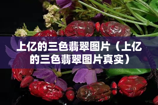 上亿的三色翡翠图片（上亿的三色翡翠图片真实）
