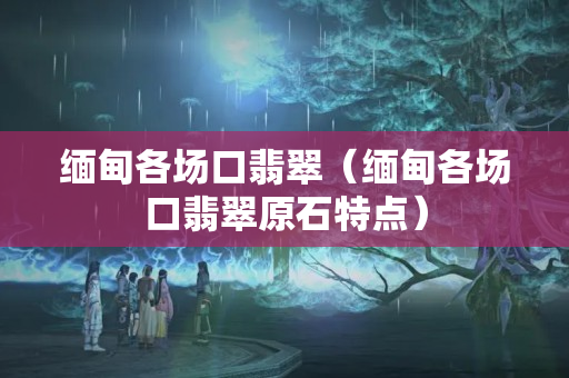 缅甸各场口翡翠（缅甸各场口翡翠原石特点）