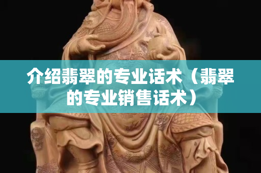 介绍翡翠的专业话术（翡翠的专业销售话术）