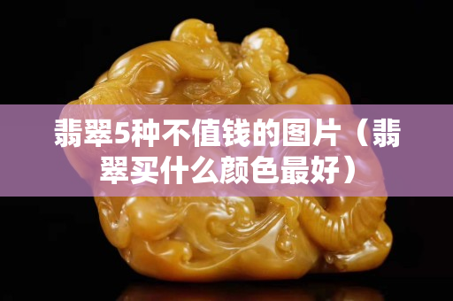 翡翠5种不值钱的图片（翡翠买什么颜色最好）