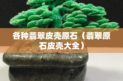 各种翡翠皮壳原石（翡翠原石皮壳大全）