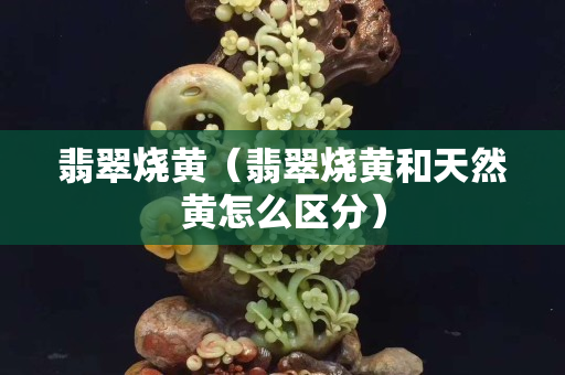 翡翠烧黄（翡翠烧黄和天然黄怎么区分）