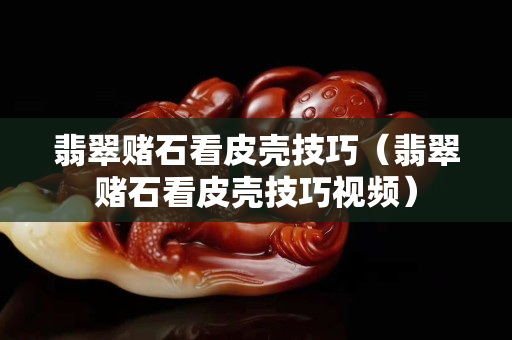 翡翠赌石看皮壳技巧（翡翠赌石看皮壳技巧视频）