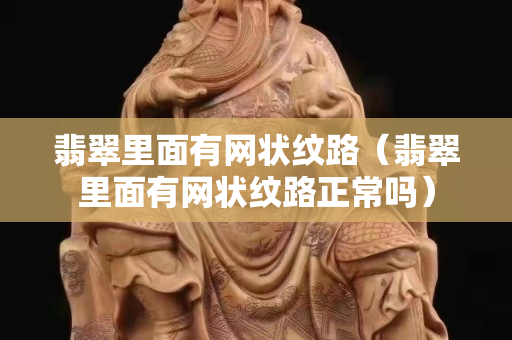翡翠里面有网状纹路（翡翠里面有网状纹路正常吗）