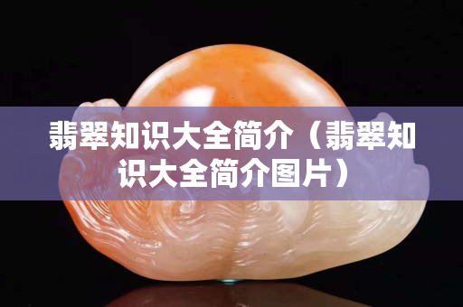翡翠知识大全简介（翡翠知识大全简介图片）