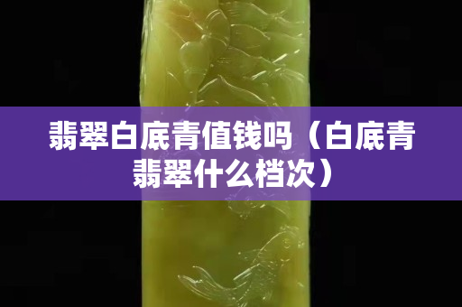 翡翠白底青值钱吗（白底青翡翠什么档次）