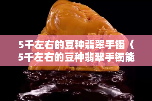 5千左右的豆种翡翠手镯（5千左右的豆种翡翠手镯能买吗）