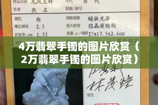 4万翡翠手镯的图片欣赏（2万翡翠手镯的图片欣赏）