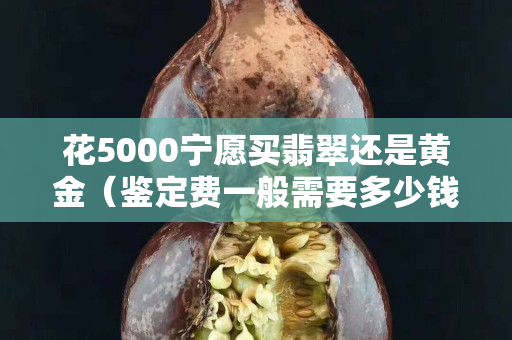 花5000宁愿买翡翠还是黄金（鉴定费一般需要多少钱）