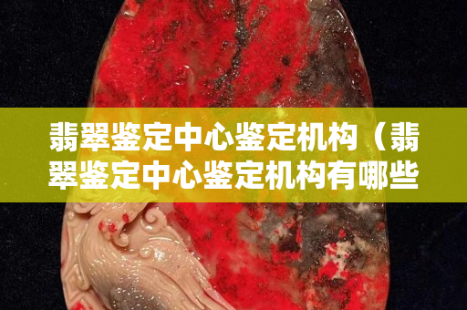 翡翠鉴定中心鉴定机构（翡翠鉴定中心鉴定机构有哪些）