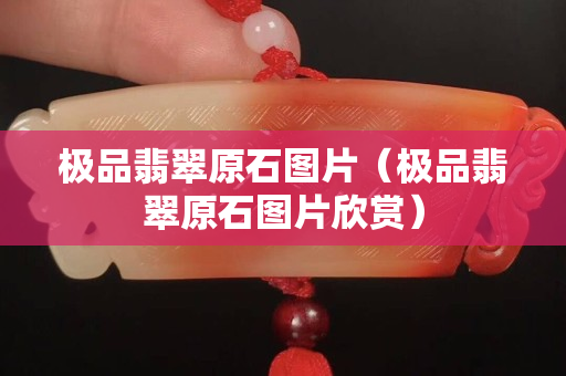 极品翡翠原石图片（极品翡翠原石图片欣赏）
