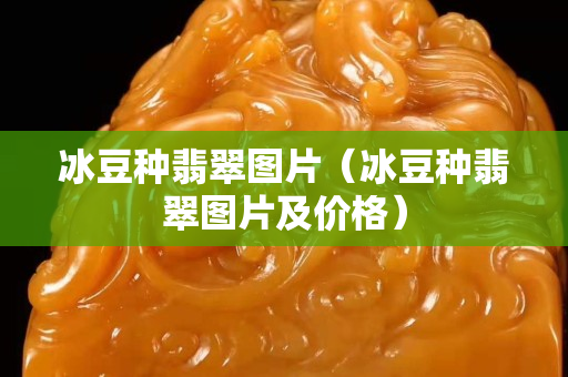冰豆种翡翠图片（冰豆种翡翠图片及价格）