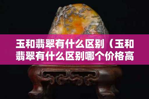 玉和翡翠有什么区别（玉和翡翠有什么区别哪个价格高）