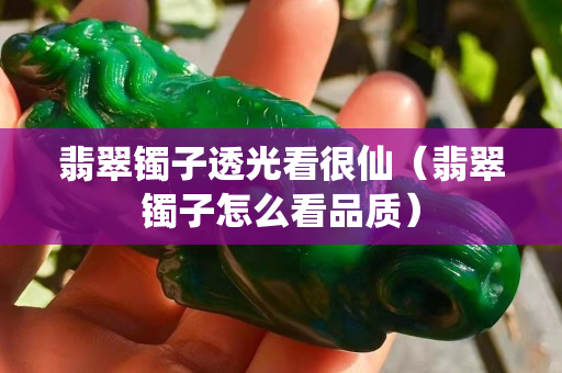 翡翠镯子透光看很仙（翡翠镯子怎么看品质）