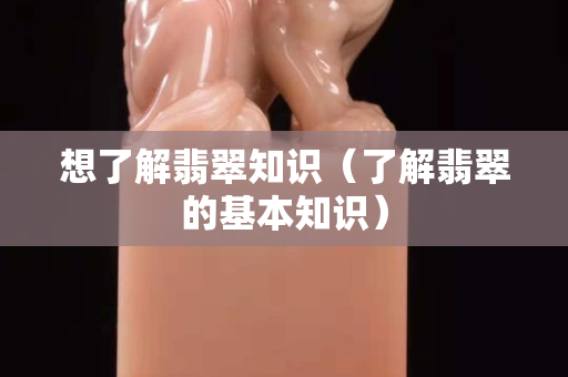 想了解翡翠知识（了解翡翠的基本知识）