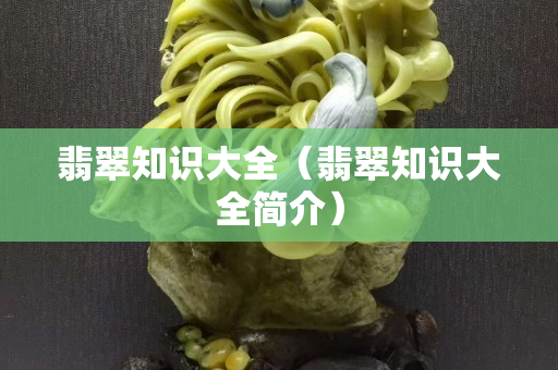 翡翠知识大全（翡翠知识大全简介）