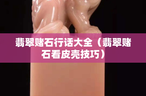 翡翠赌石行话大全（翡翠赌石看皮壳技巧）