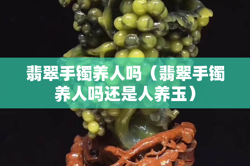 翡翠手镯养人吗（翡翠手镯养人吗还是人养玉）