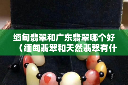 缅甸翡翠和广东翡翠哪个好（缅甸翡翠和天然翡翠有什么区别）