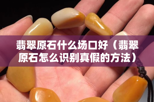 翡翠原石什么场口好（翡翠原石怎么识别真假的方法）