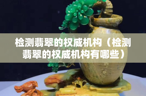 检测翡翠的权威机构（检测翡翠的权威机构有哪些）